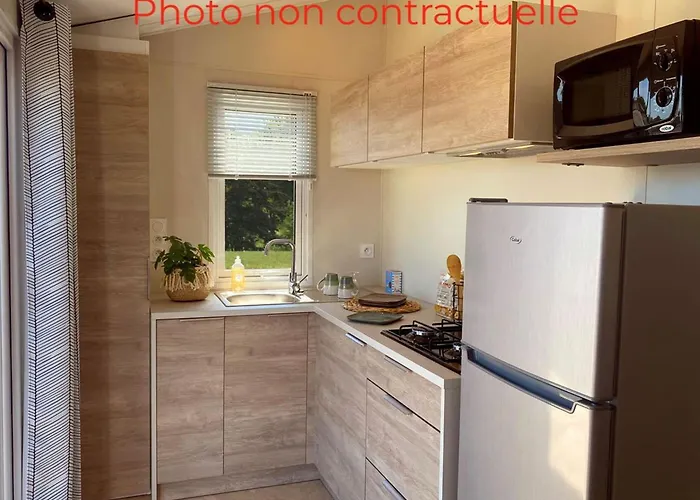 Camping Mobil Avec Terrasse Et Accès Handic. à - Api-1-52-1155